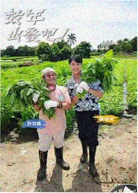 天堂综艺免费观看 中餐厅